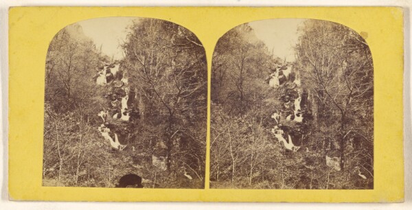 Unknown, [Ladore Cascade]