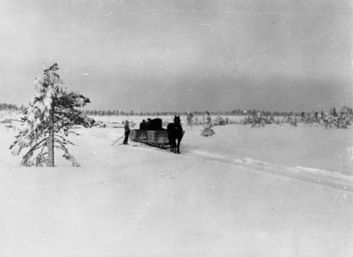 Anno Domkirkeodden, Torvbrensel kjøres hjem fra almenningen med hest og slede på vinterstid.