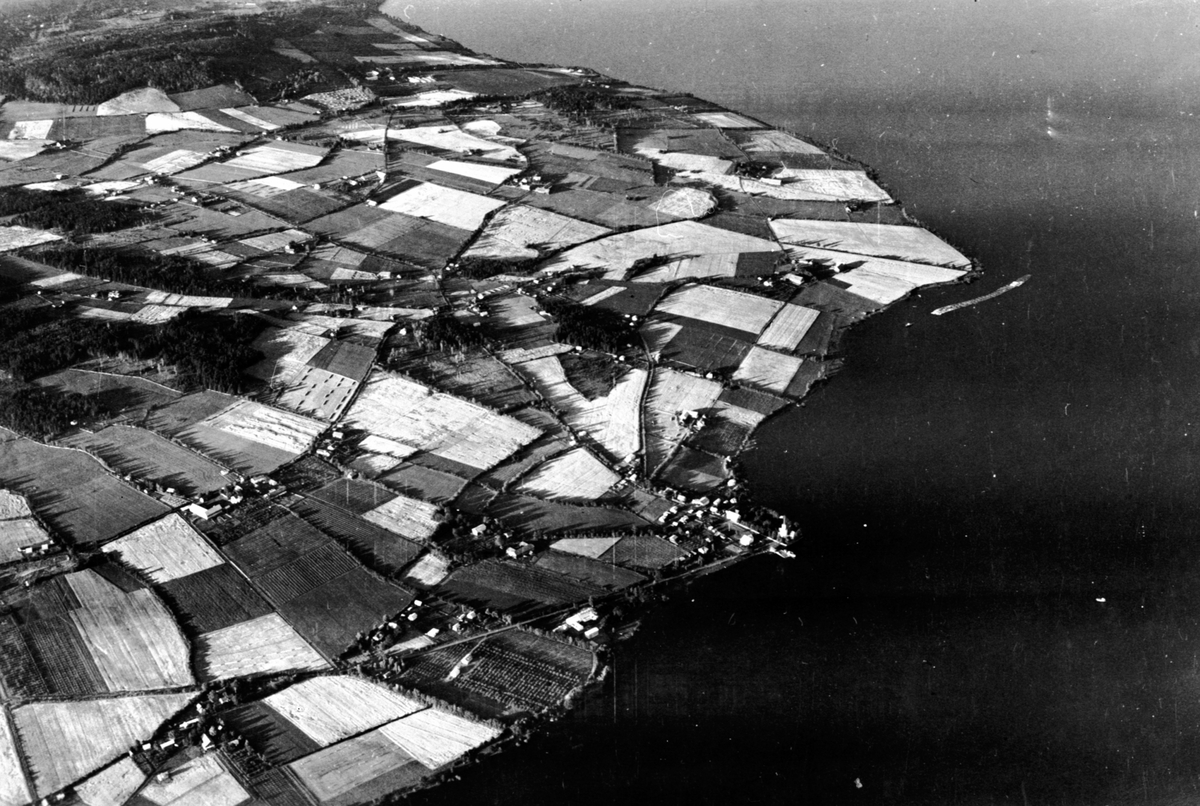 Anno Domkirkeodden, Flyfoto, landbruk, åkerlandskap, Tingnes, Mjøsa, Nes, Hedmark.
