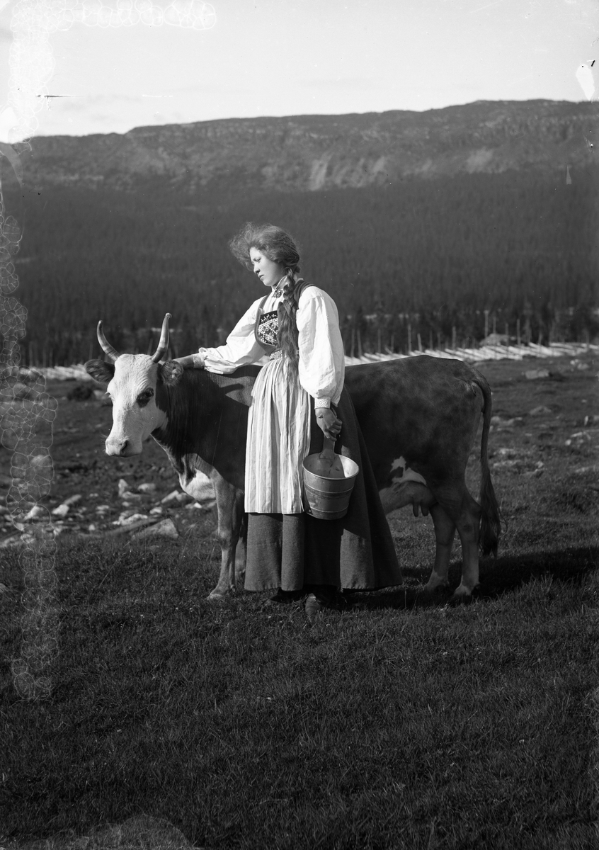 Solveig Lund, Kvinne i nasjonaldrakt klapper en ku. Holder bøtte i hånden. Fjell i bakgrunnen.