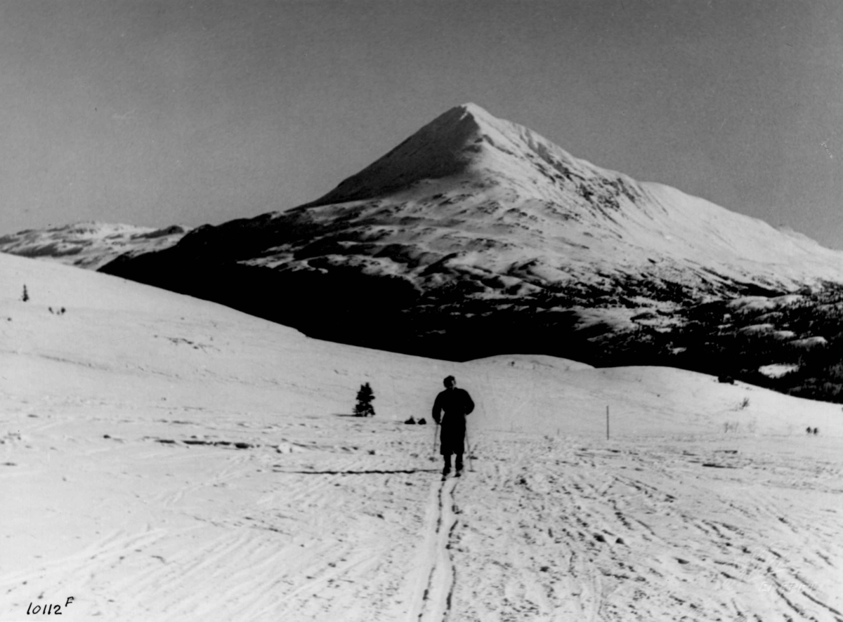 Anders Beer Wilse, Skiløper med Gaustatoppen i bakgrunnen.