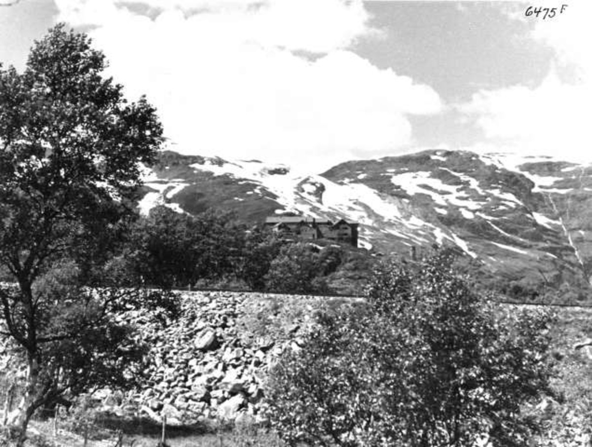 Anders Beer Wilse, -6006