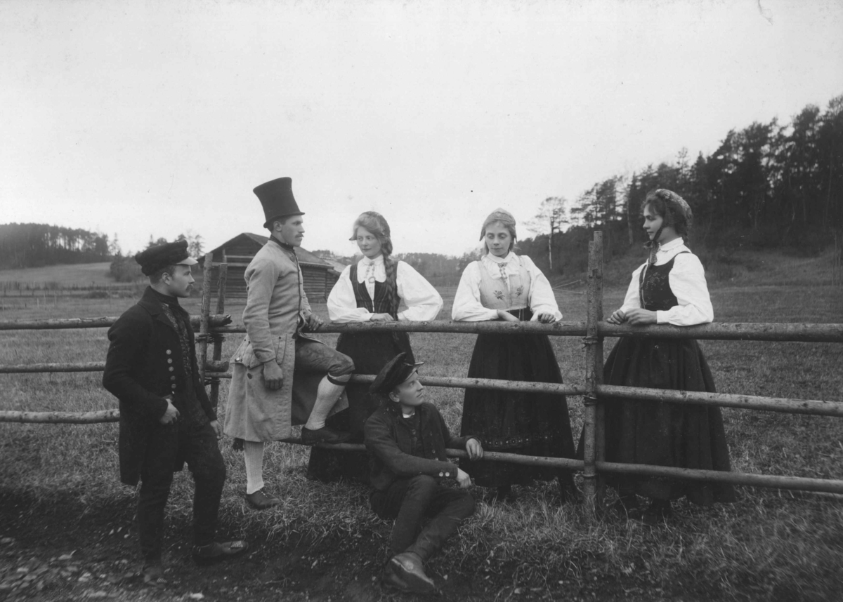 Narve Skarpmoen, Tilstelning på Norsk Folkemuseum i 1903. Menn og kvinner samlet ved gjerdet.
