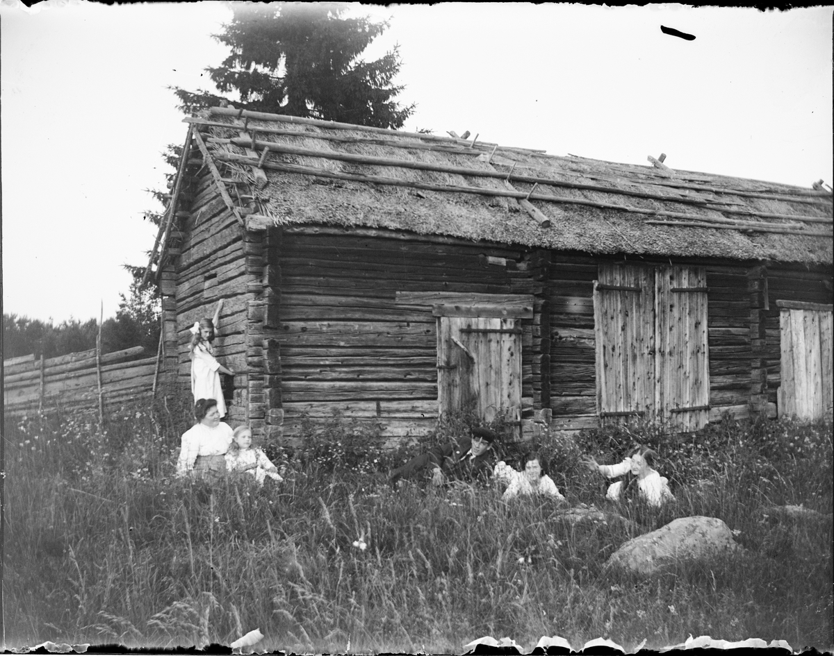 Skötsner-Edhlund, Man, kvinnor och flickor i gräset vid timmerladan, Östhammar, Uppland