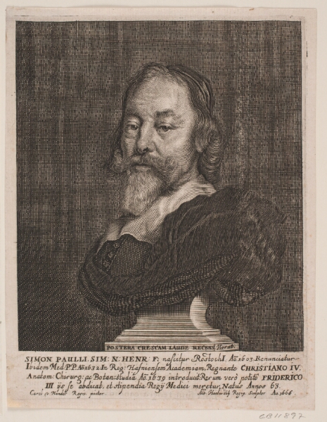 Albert Haelwegh, Simon Paulli. Illustration til Simon Paulli, "Quadripartitum Botanicum", 1667