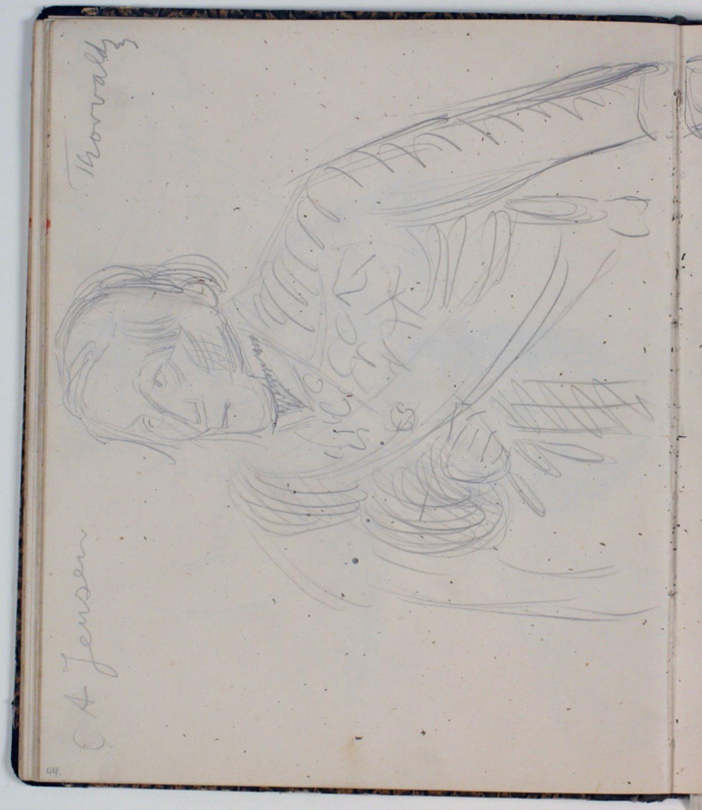 Niels Larsen Stevns, Studie af Thorvaldsen efter maleri af C. A. Jensen
