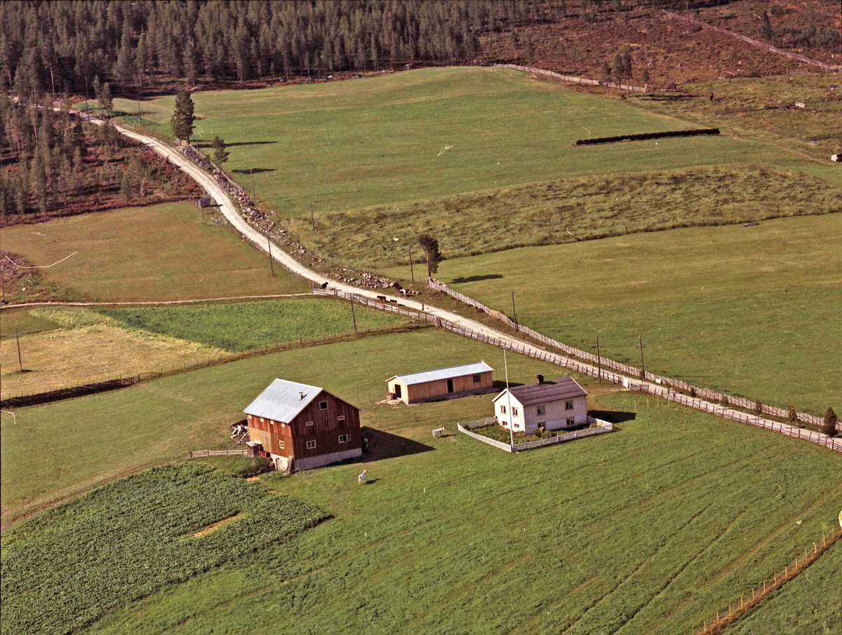 Widerøes Flyveselskap A/S, Gårdsbruk (Taraldshaugen).