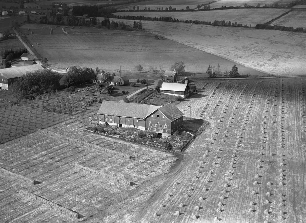 Anno Domkirkeodden, Flyfoto, gardsbruk, kornsnes, hesjer, Skjelve østre, Nes, Hedmark.