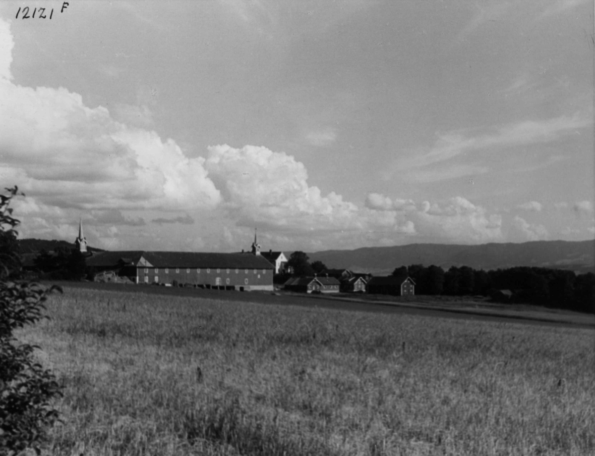 Anders Beer Wilse, Hoel gård