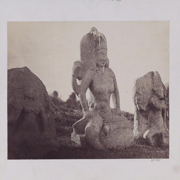 Unknown, Photograph