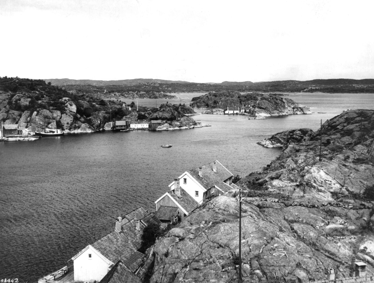Anders Beer Wilse, Wilse original, Ny Hellesund