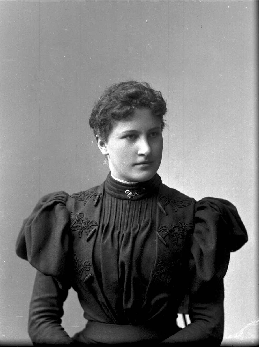Gustav Borgen, NFB.26547