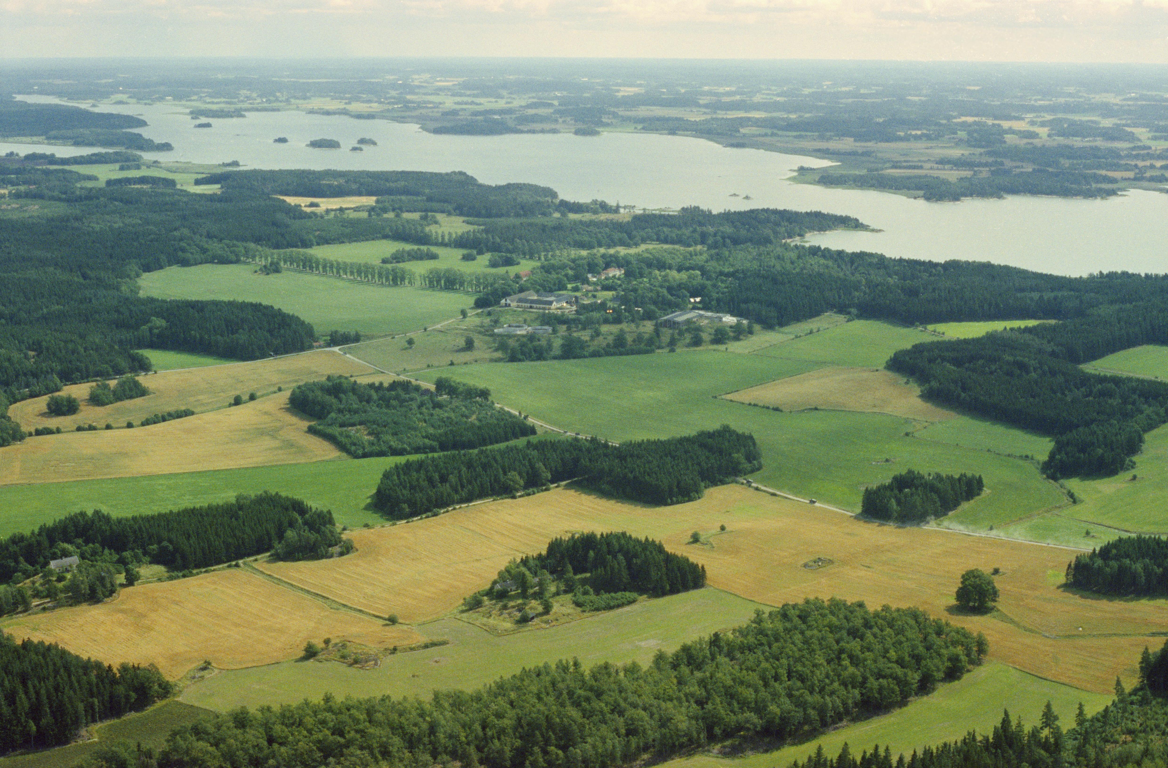 Jan Norrman, Vånga 98:1