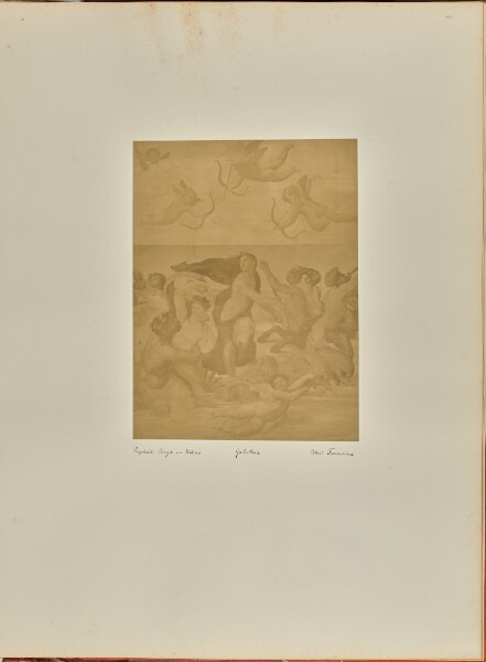 Unknown, Raphaël Sanzio von Urbino. Galathea. Palast Farnesina