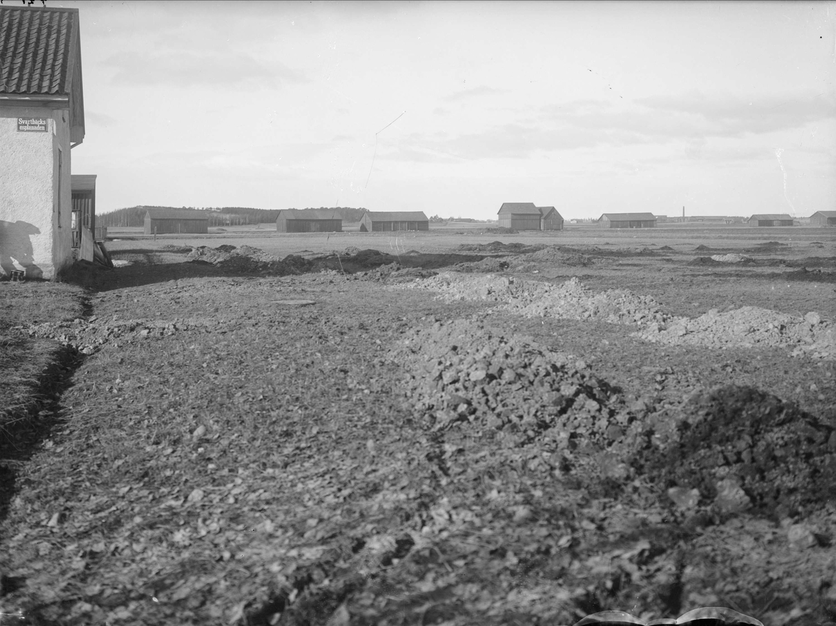 Alfred Dahlgren, Från Stiernhjelmsgatan mot Galgbacken och Löten, yttre Svartbäcken, Uppsala 1908