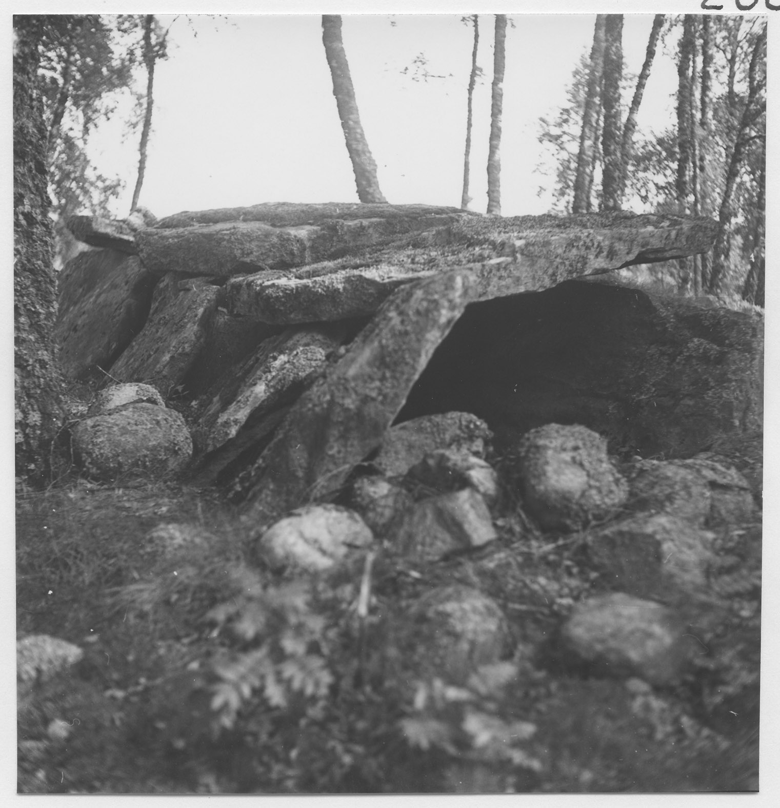 Mårten Sjöbeck, Bäckaryd