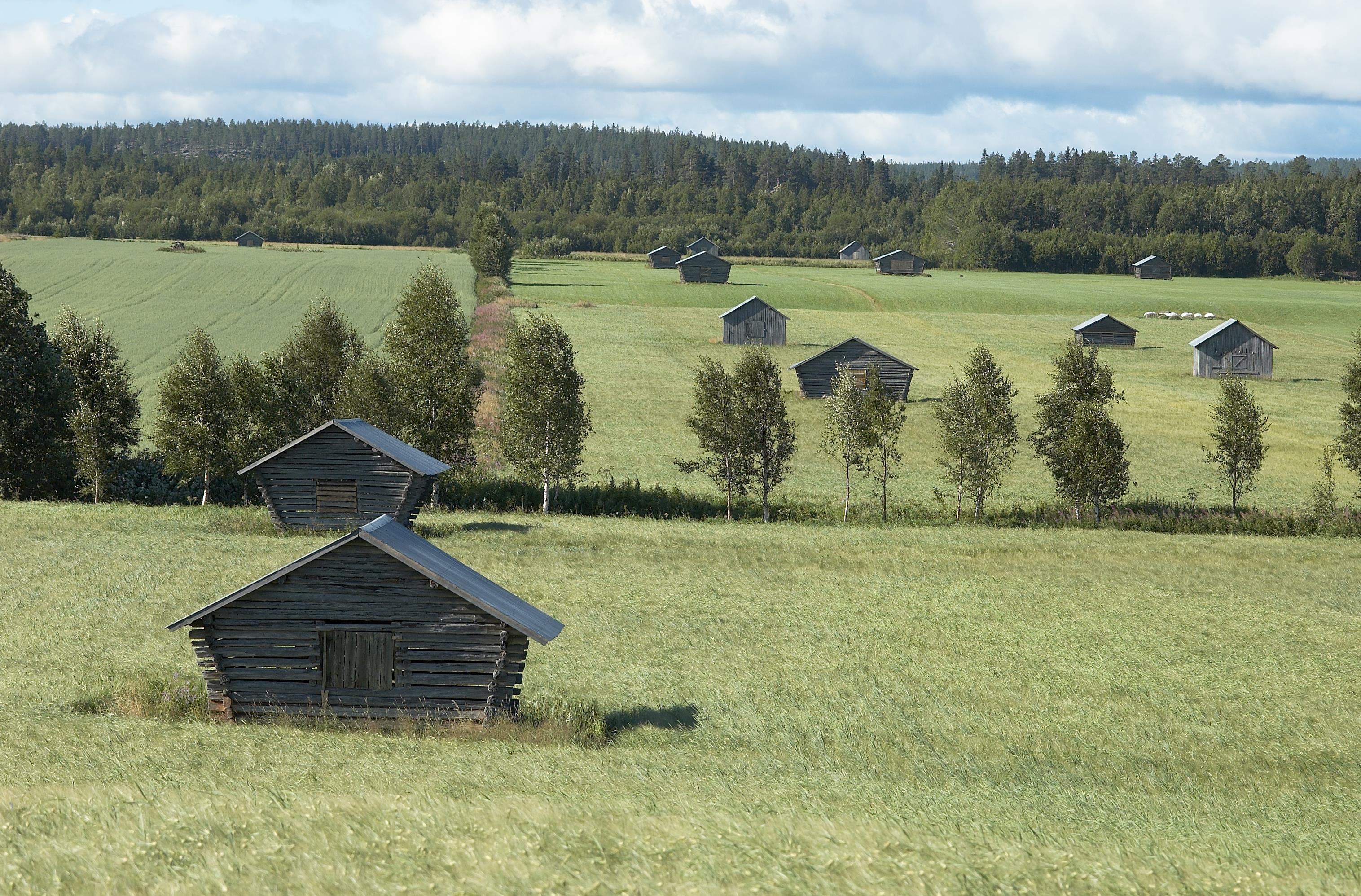 Bengt A Lundberg, Avan