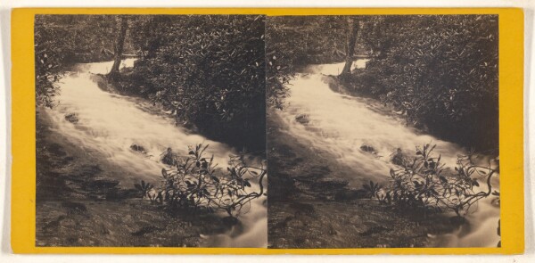 Unknown, Delaware Water Gap, Penn'a. Moss Cataract.