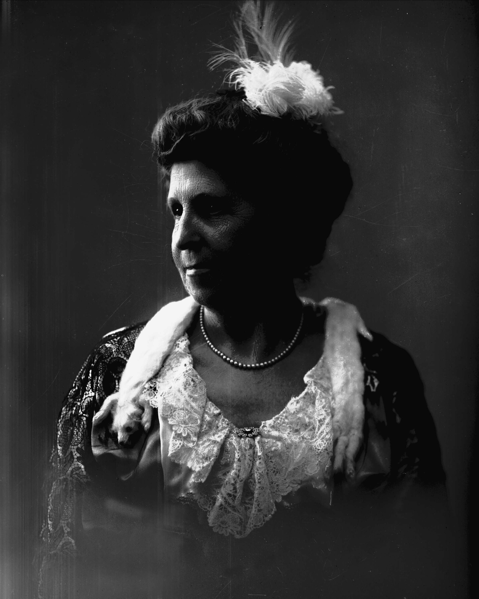 Gustav Borgen, NFB.01310