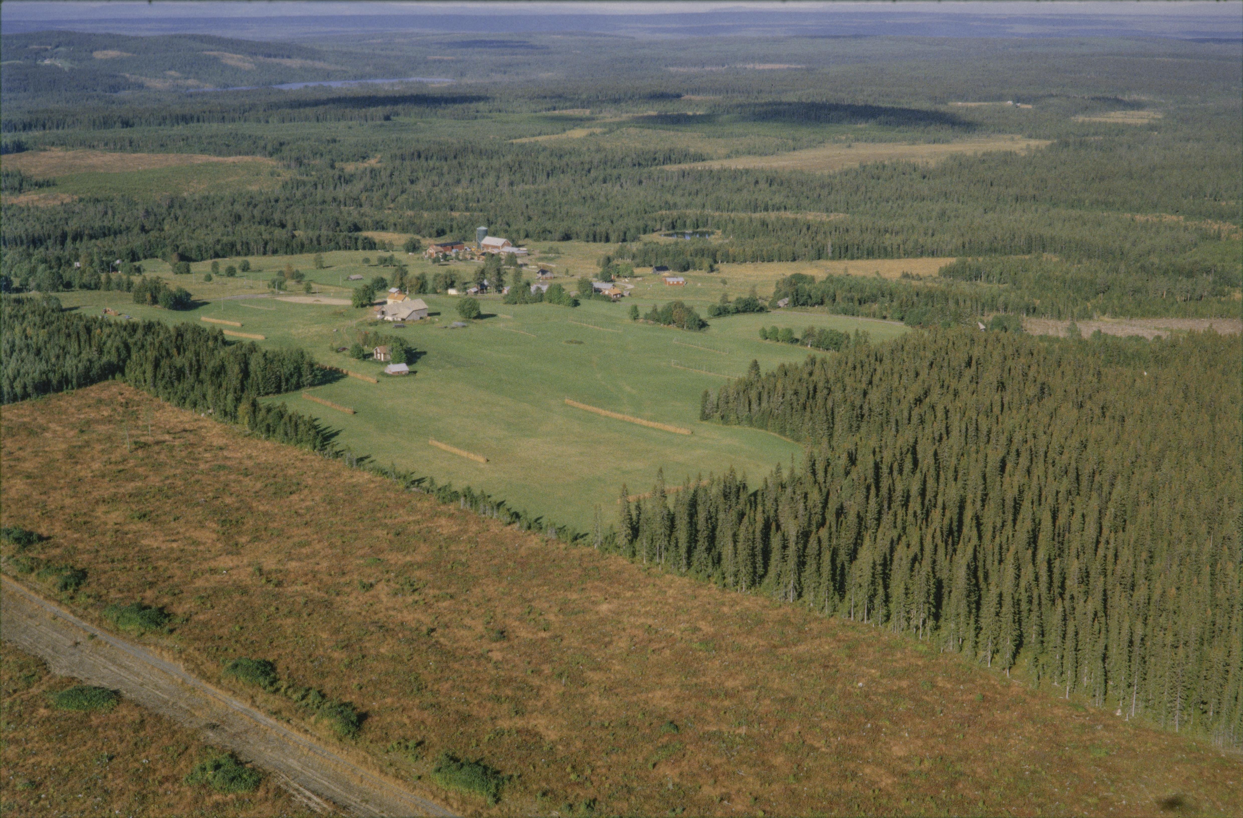 Jan Norrman, Häggenås 520