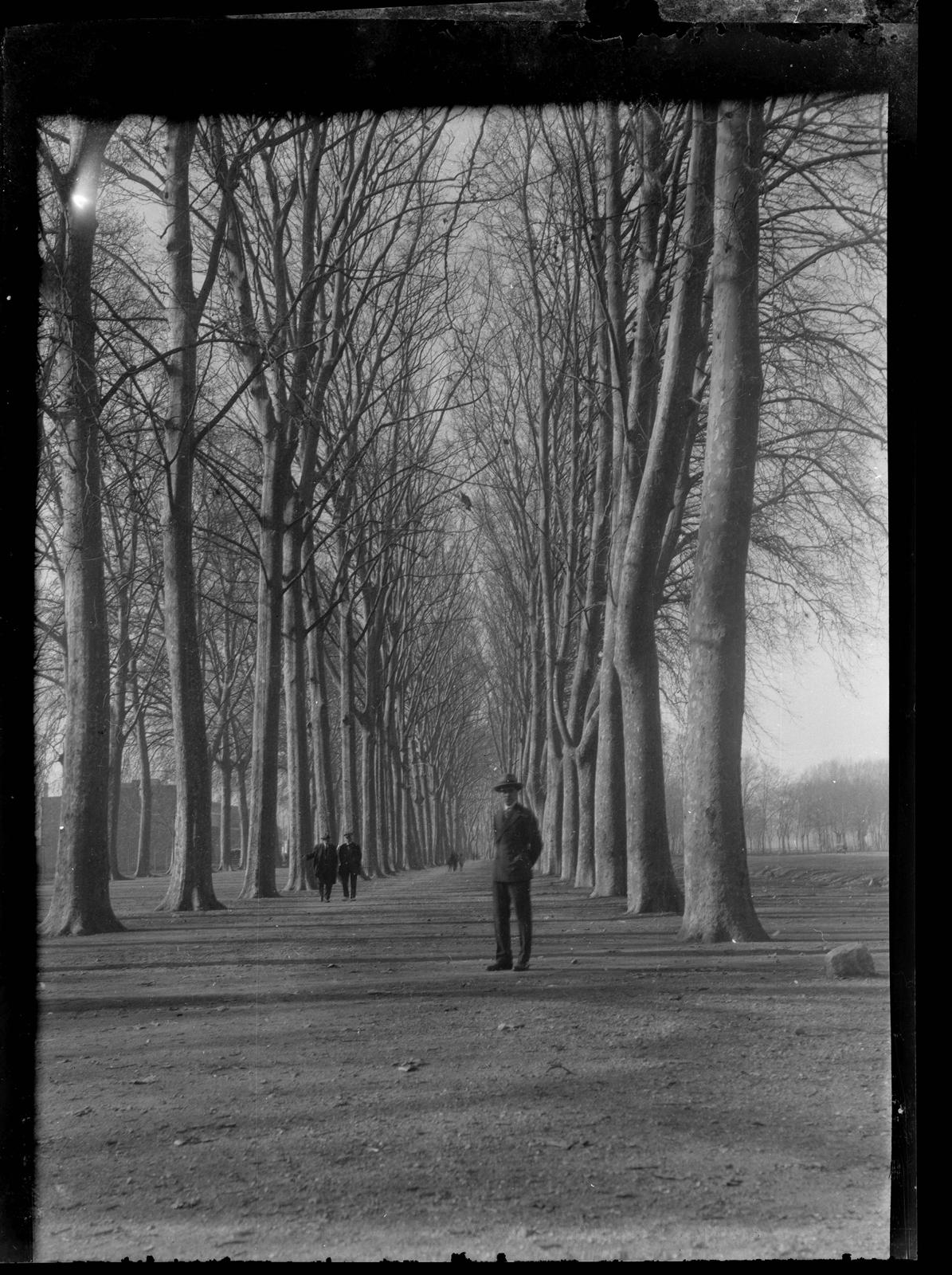 Desconegut, [Portrait]