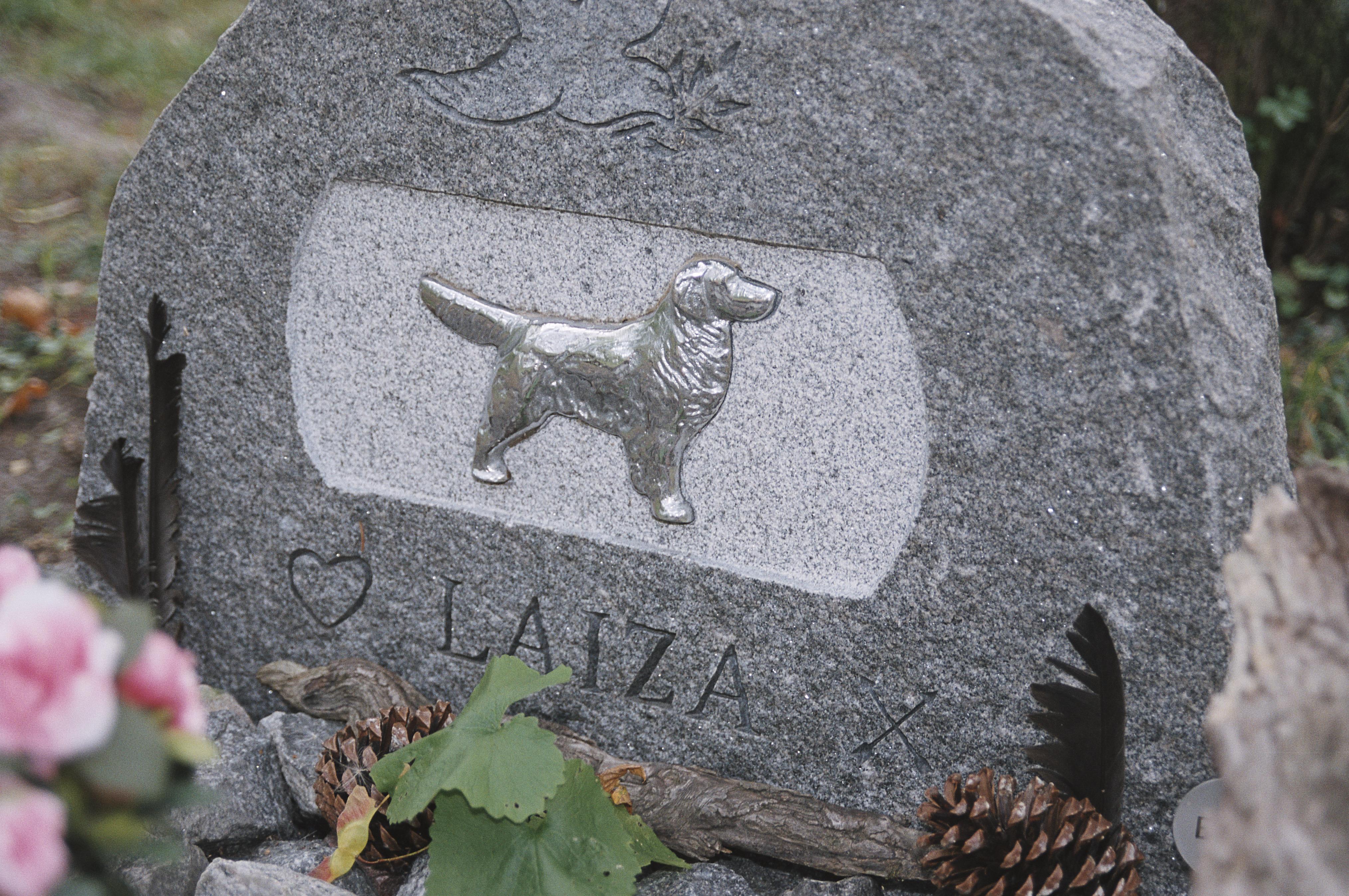 Bengt A Lundberg, Djurkyrkogården vid Kaknäs