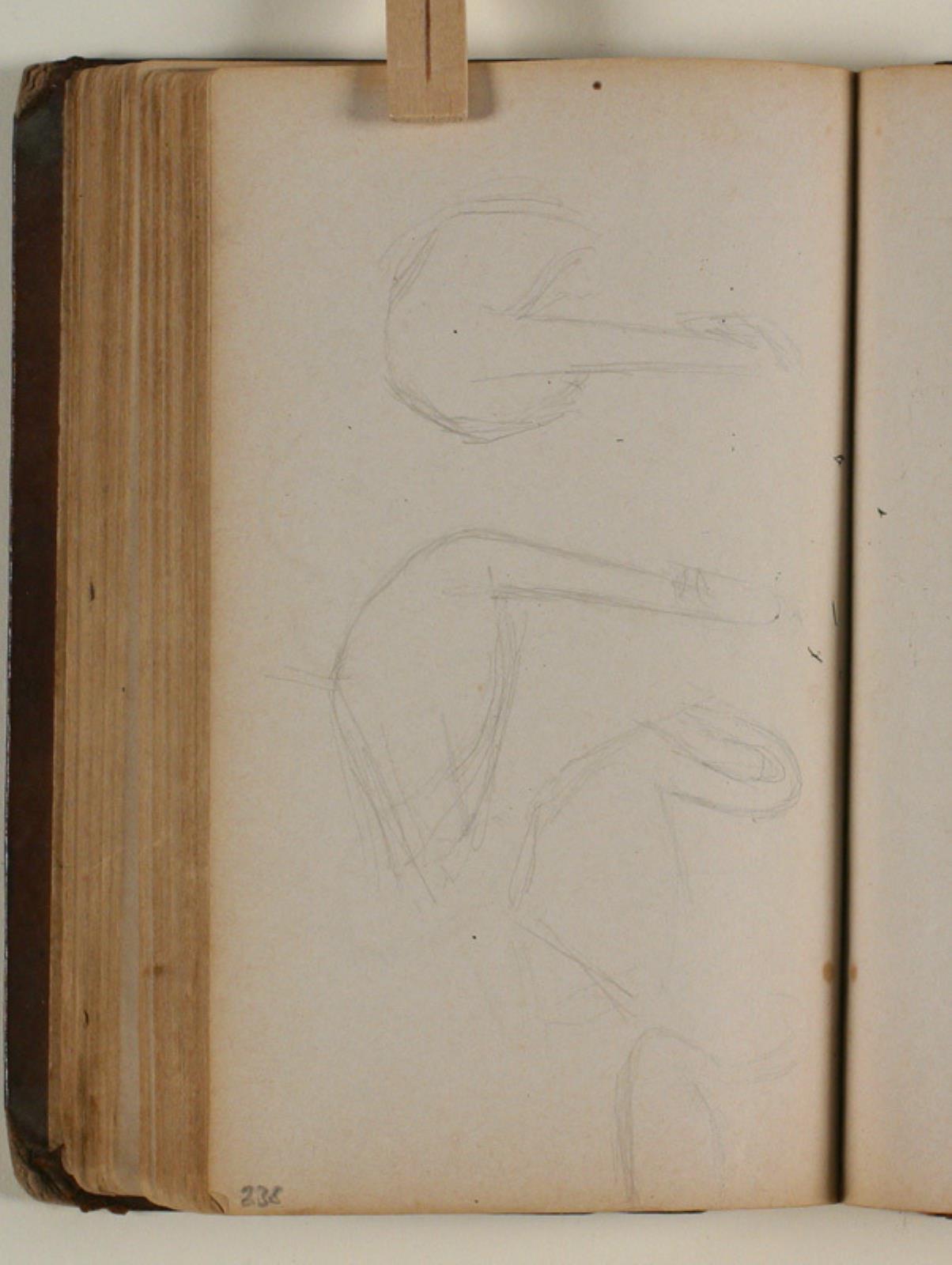 Niels Larsen Stevns, Studier af svaner
