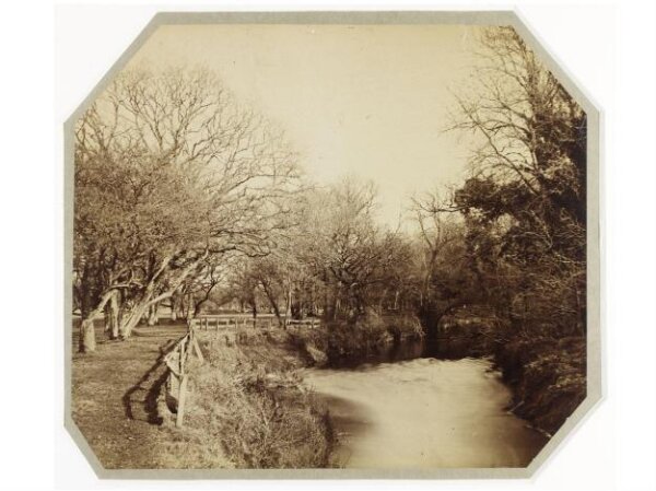 Clementina, Lady Hawarden, Photograph