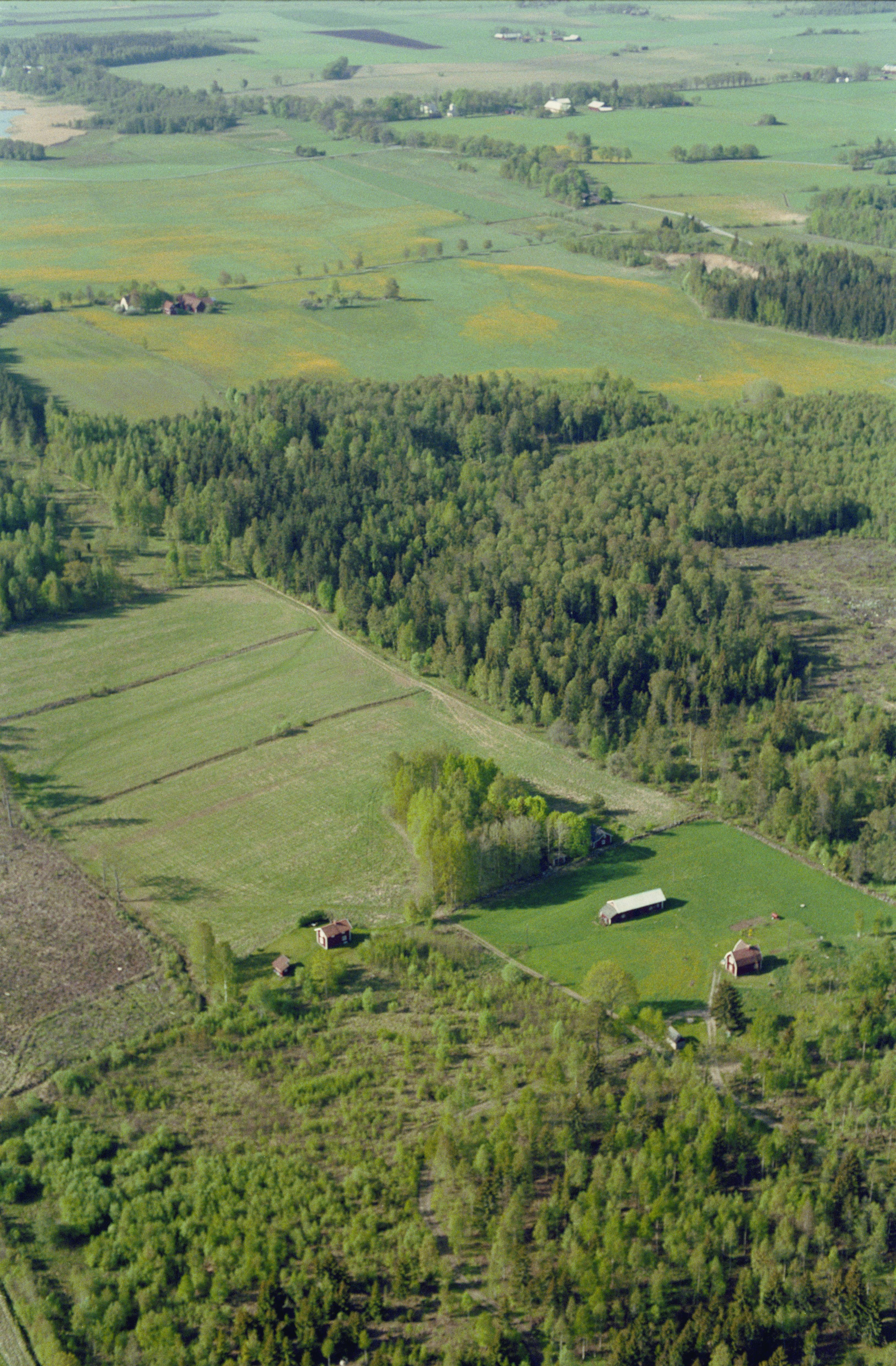Jan Norrman, Viby 295