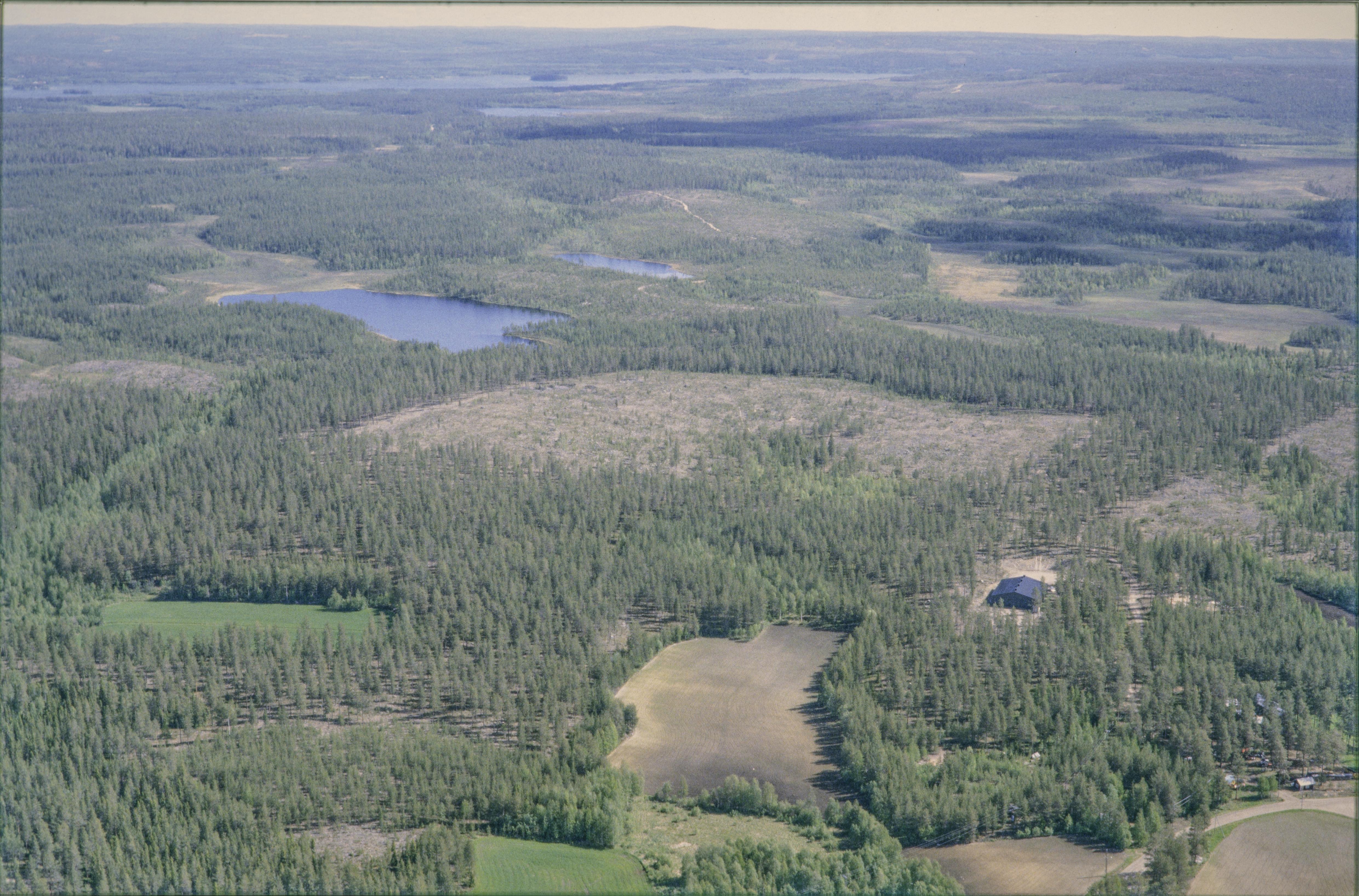 Jan Norrman, Töre 408:1