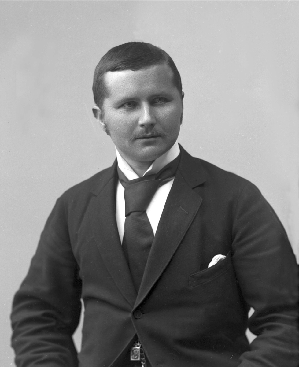 Gustav Borgen, NFB.31913