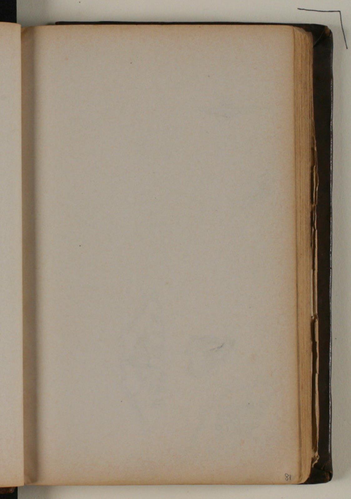 Niels Larsen Stevns, Blank