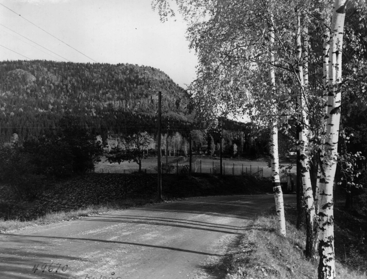 Anders Beer Wilse, Kolsås