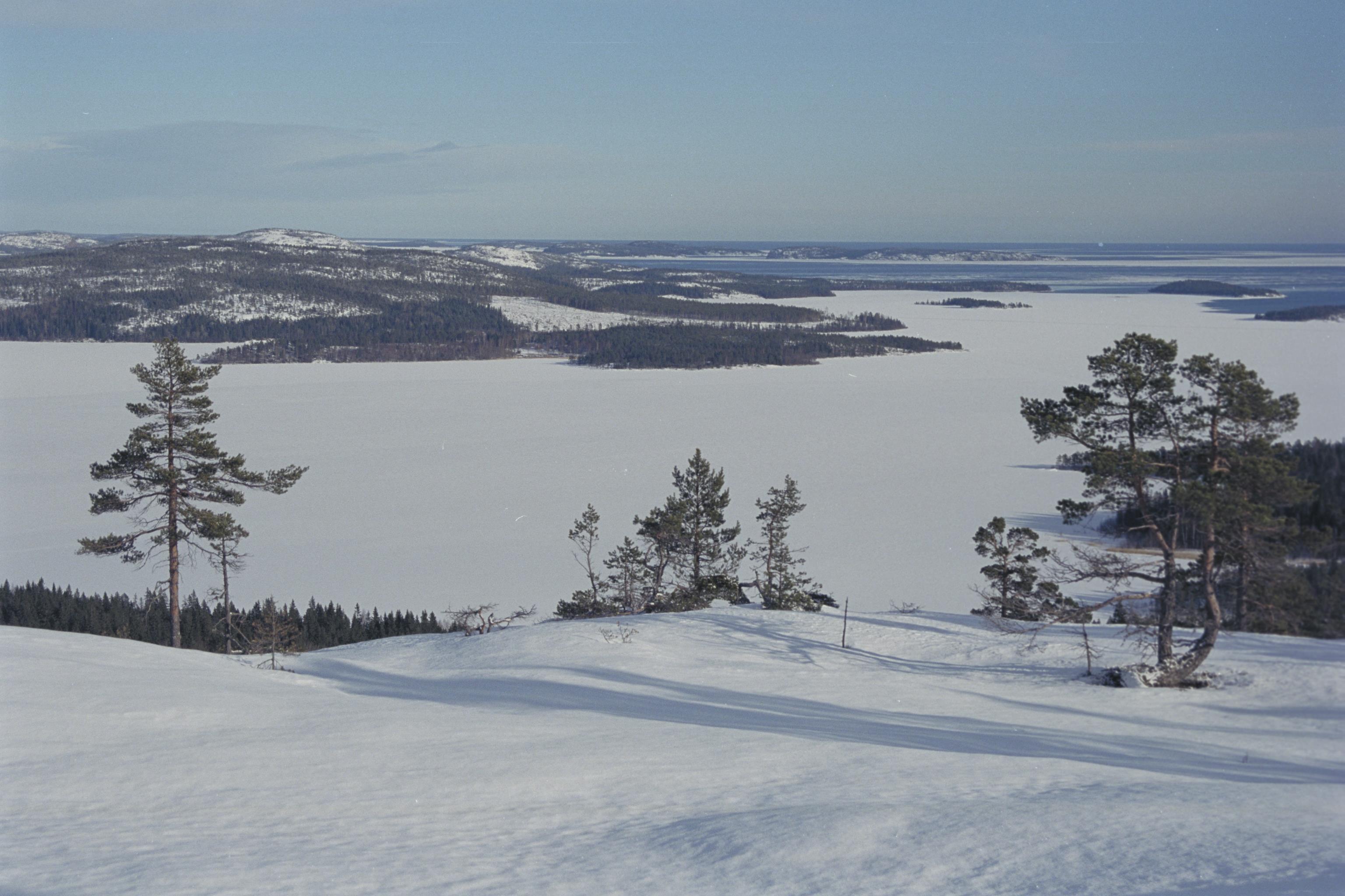 Bengt A Lundberg, Skuleskogens Nationalpark