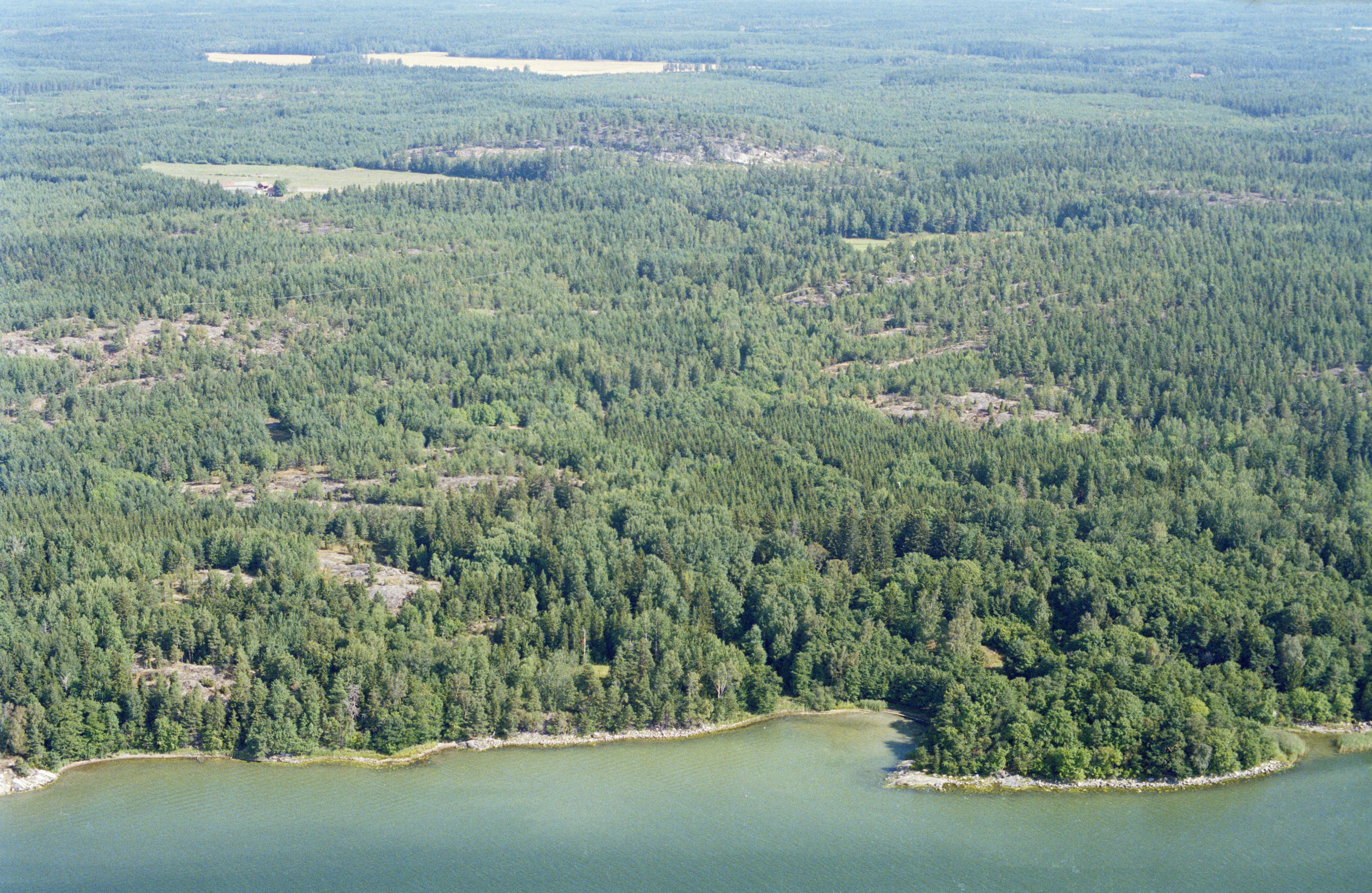 Jan Norrman, Tunaberg 298:1