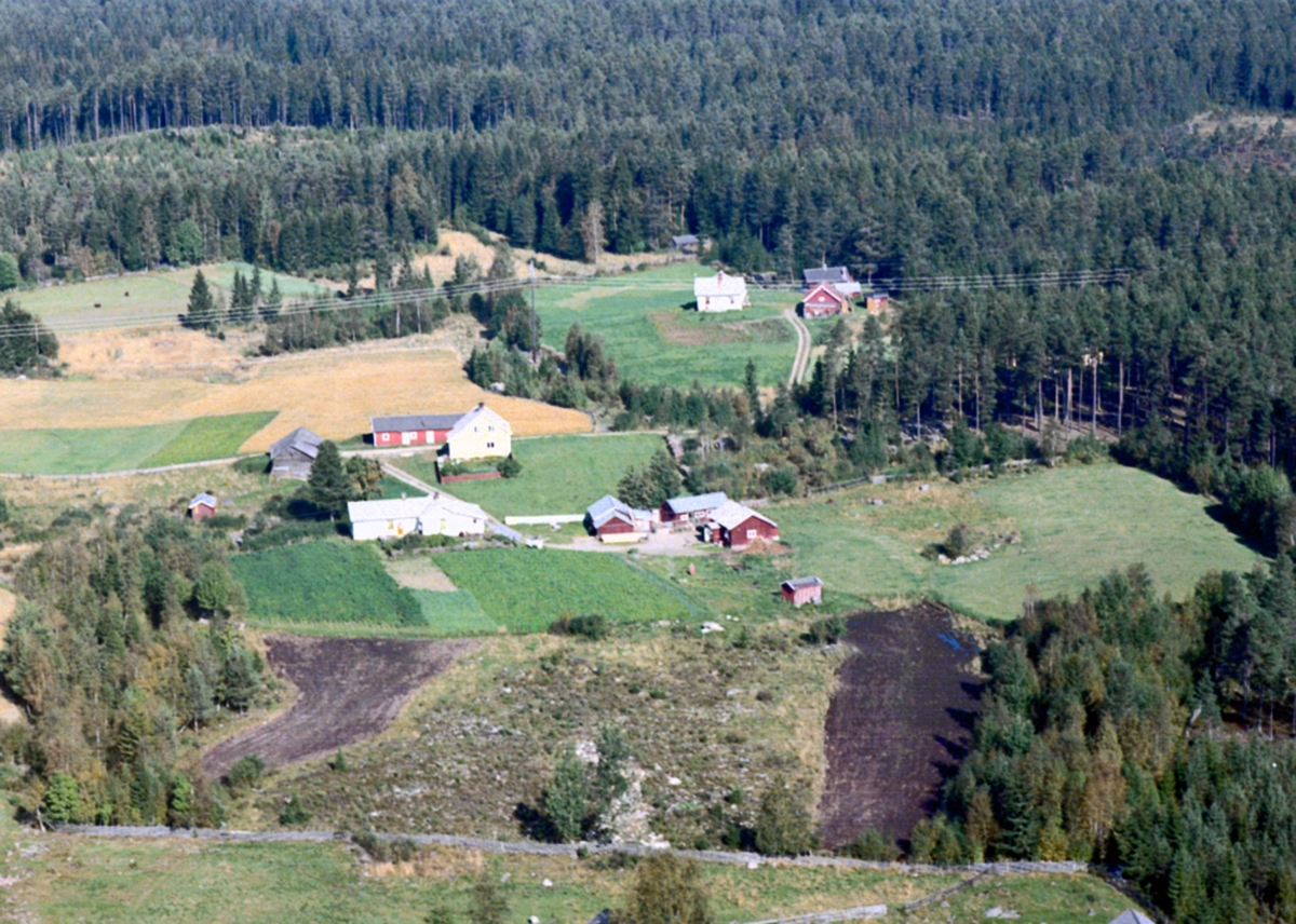 Widerøes Flyveselskap A/S, Flyfoto Tømmerholsroa (27 i midten), Løten. Bildet viser 3 småbruk i Tømmerholsroa. Nærmest Livabakken, deretter Tømmerholen og innerst Hoel.