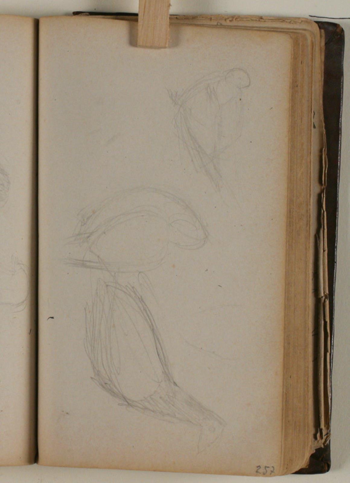 Niels Larsen Stevns, Studier af duer