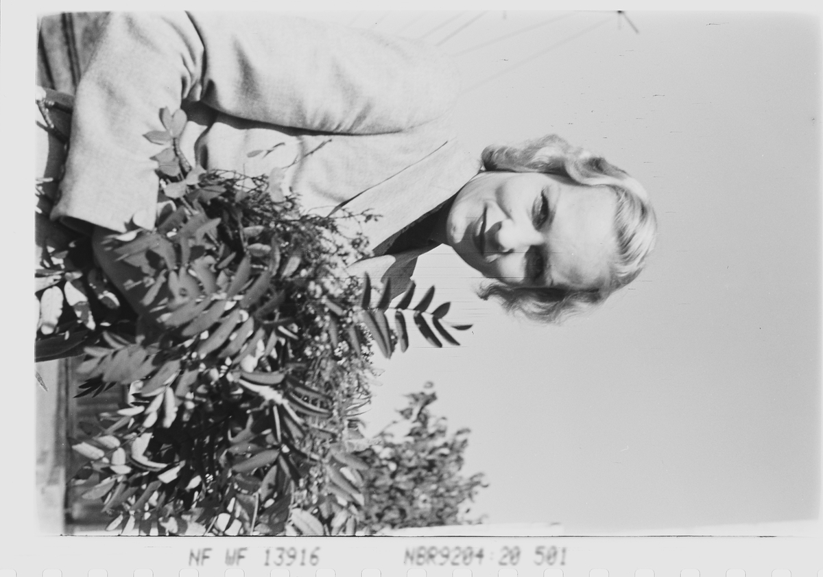 Anders Beer Wilse, Prot: Pike med blomster