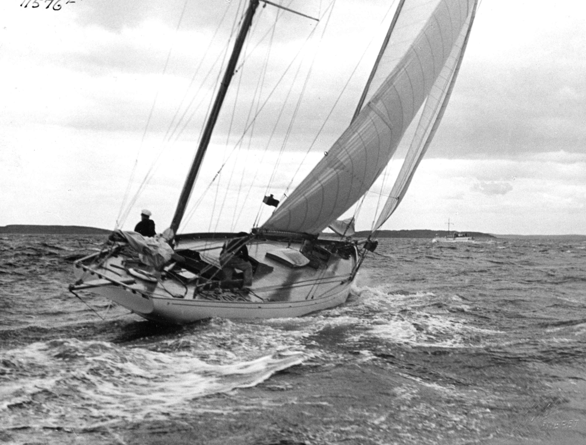 Anders Beer Wilse, Seilsport