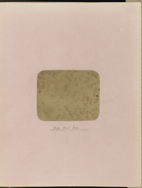 Unknown, Frog's Blood Discs