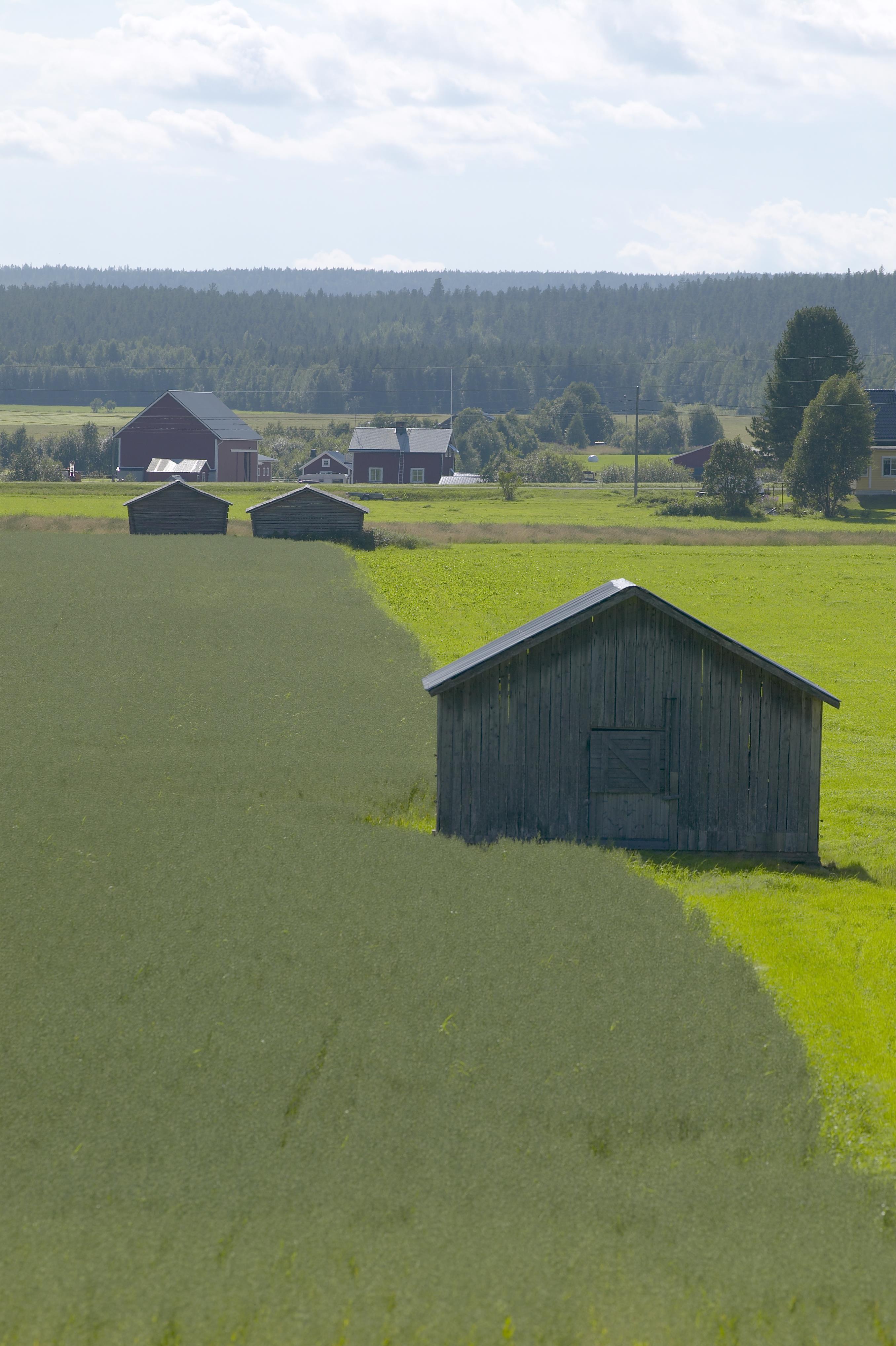 Bengt A Lundberg, Lillpite