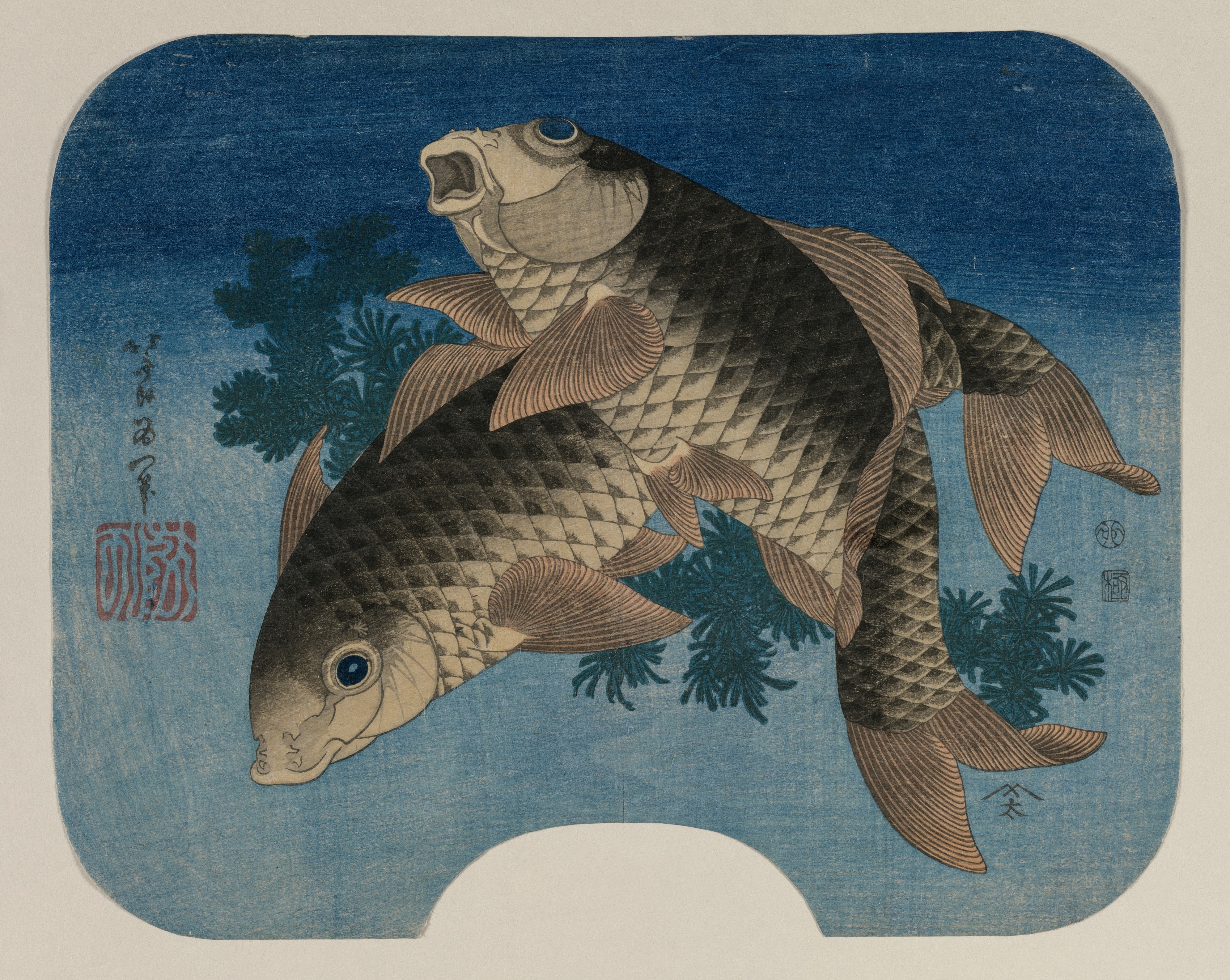 Katsushika Hokusai, Carp Swimming by Water Weeds