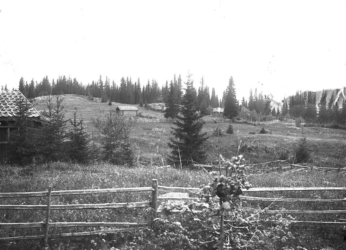 Axel Quinsgaard Wiborg, Setervollen med bebyggelse på Holoa seter, Hadeland, Jevnaker, Oppland, 1903.
