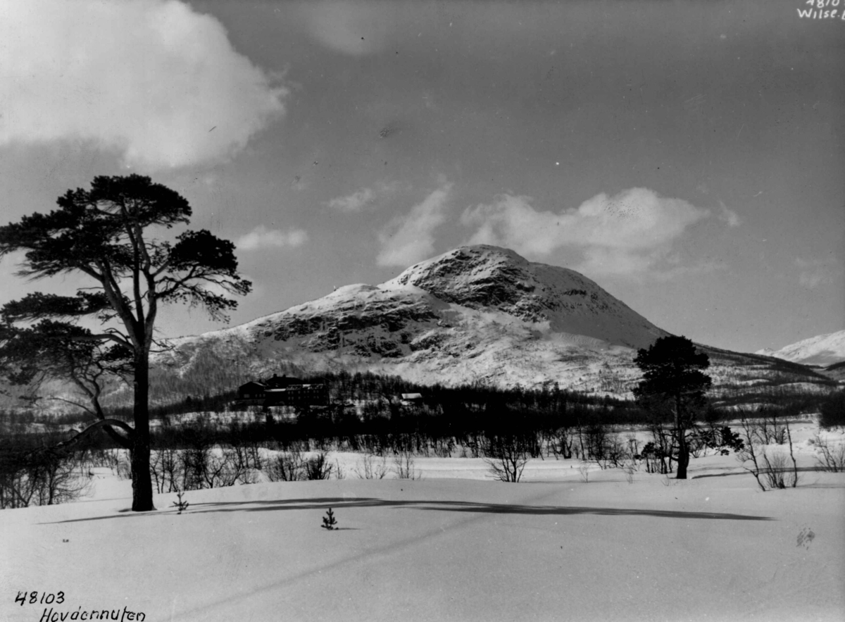 Anders Beer Wilse, Vinter, sno, Hovdenuten.