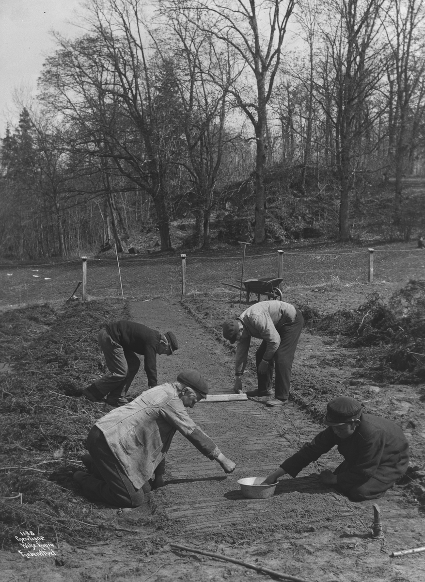 Anders Beer Wilse, Konv: Horten, Planteskolen, Saaing
