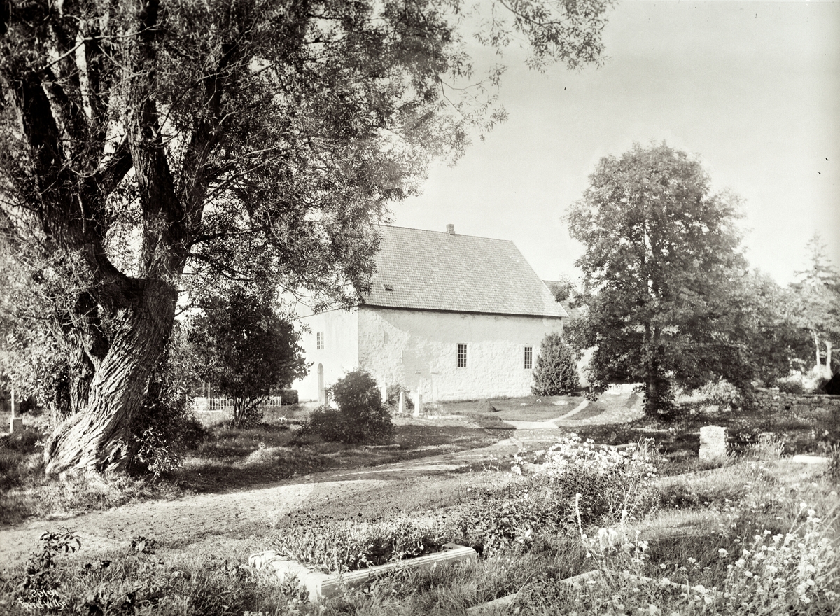 Anders Beer Wilse, Prot: kirken 11/8