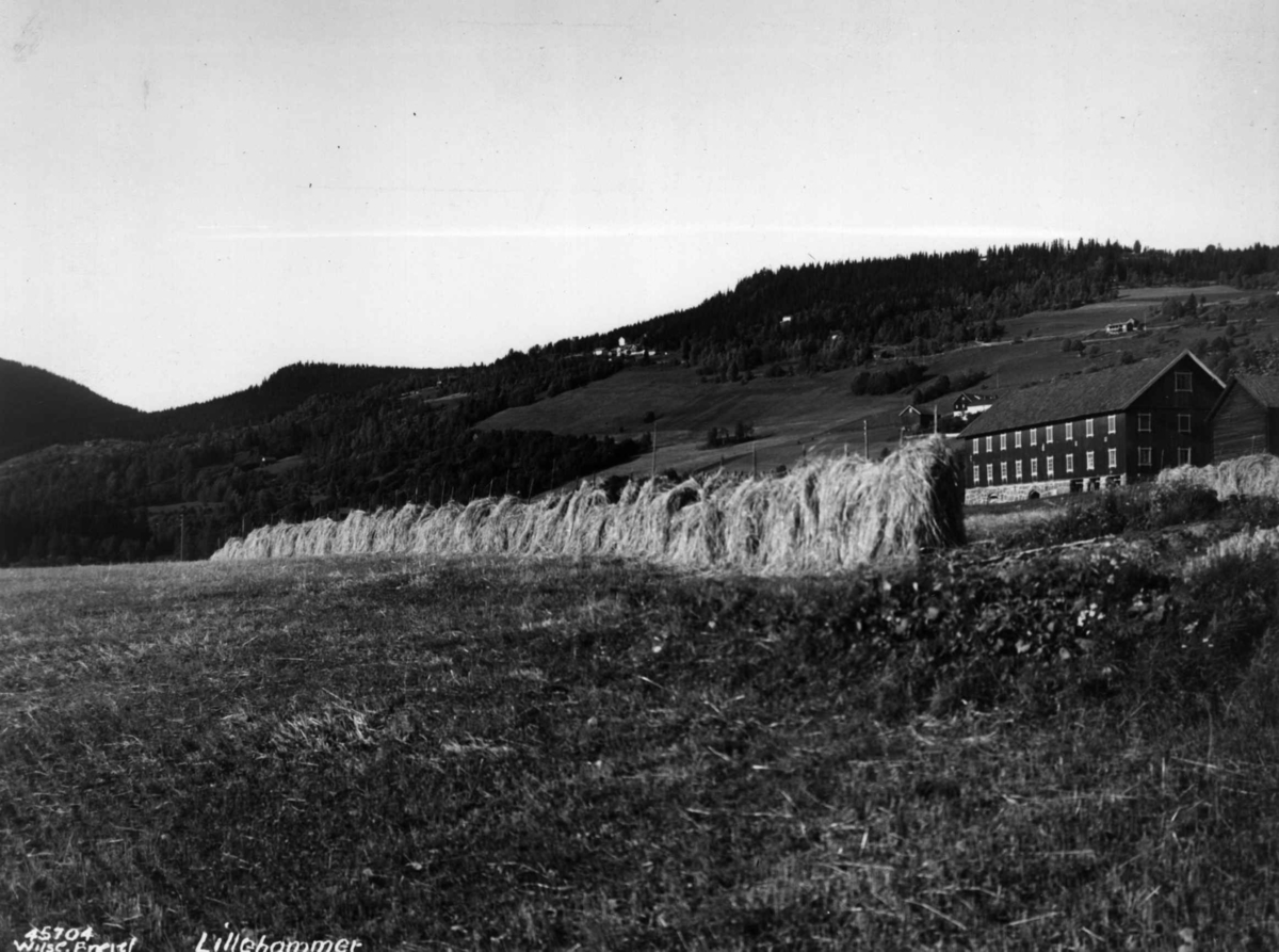 Anders Beer Wilse, Landbruk, Jordbruk, Lillehammer