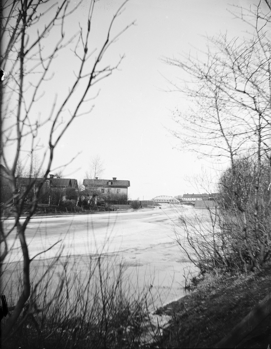 Carl Liljefors, The Funen Island at Odensså, Uppsala 1901