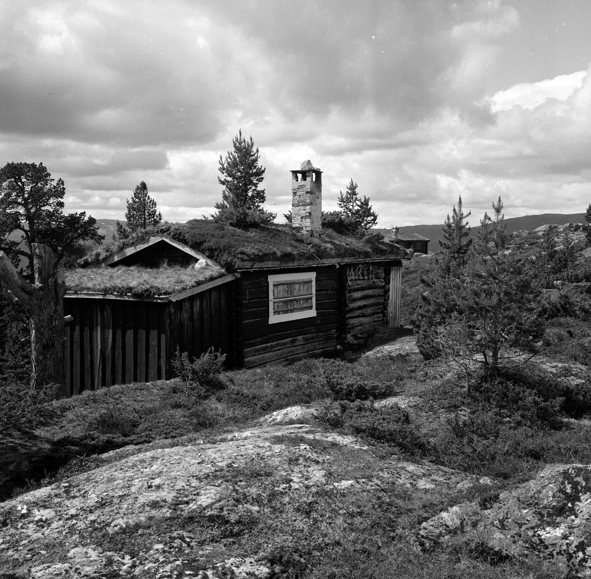 Adolf Skjegstad, ASK-02320
