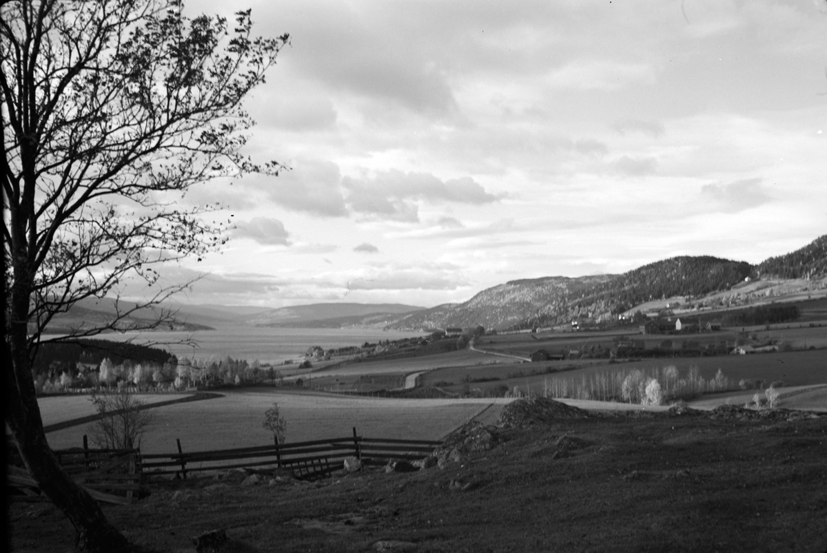 Håkon Prestkværn, Landskap med Mjøsa, Ring i Ringsaker.